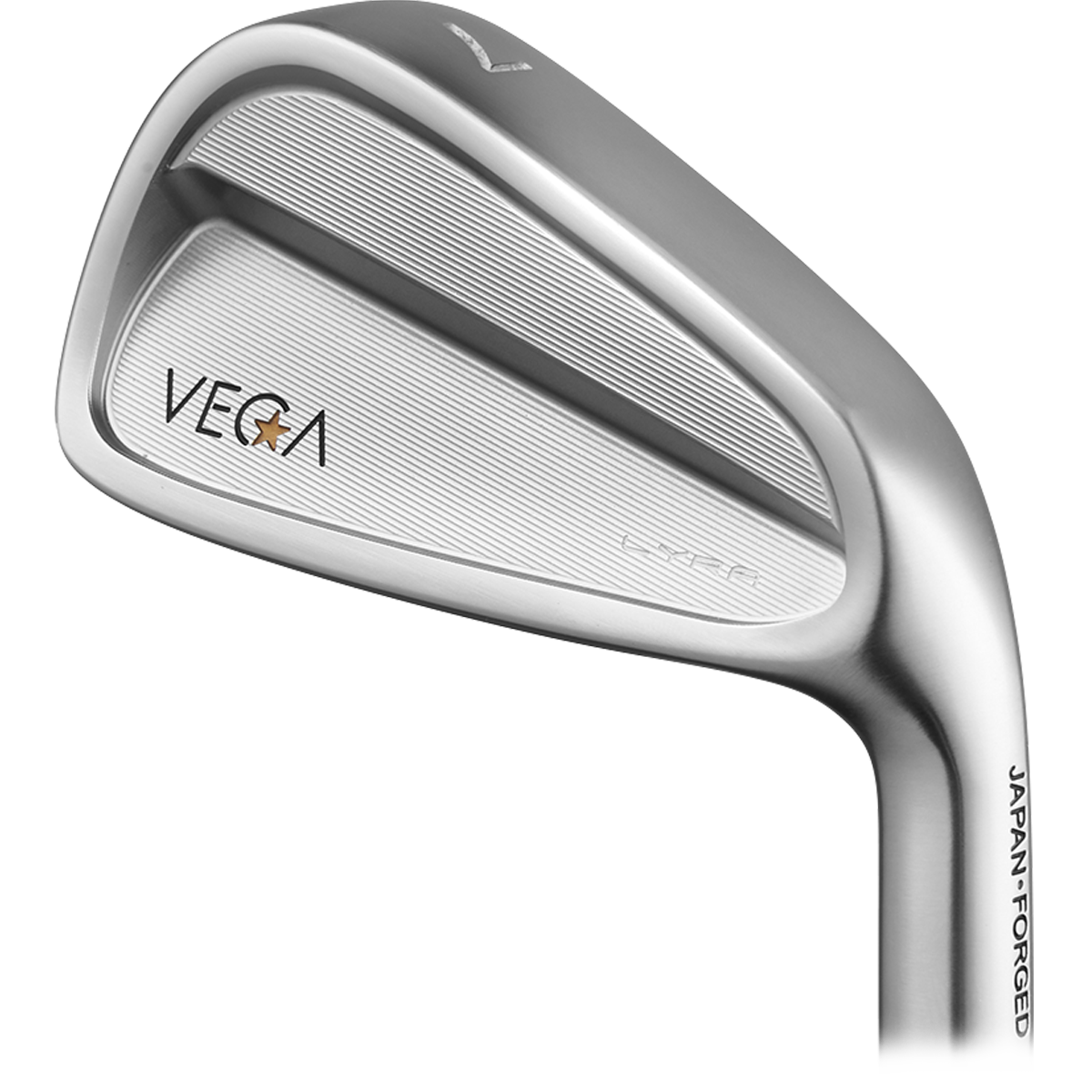 VEGA Lyra 4-PW