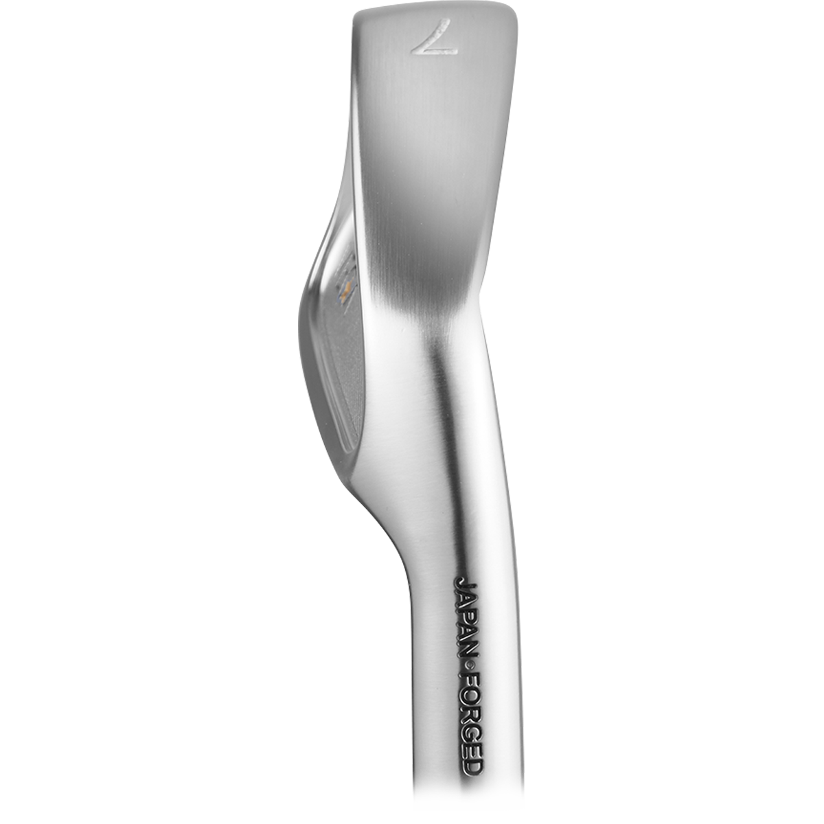 VEGA Lyra 4-PW