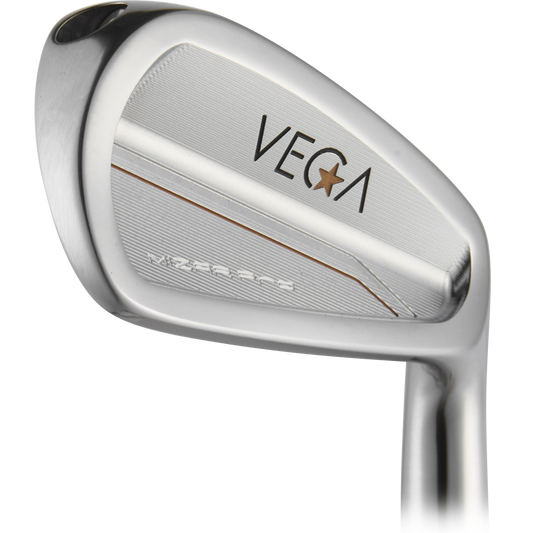 VEGA Mizar Pro Cavity 4-PW