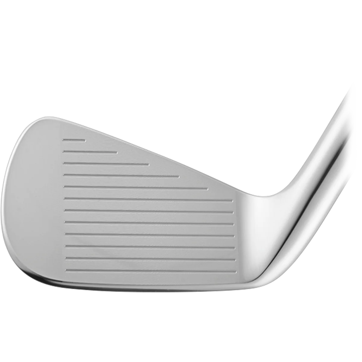 VEGA SS 4-PW